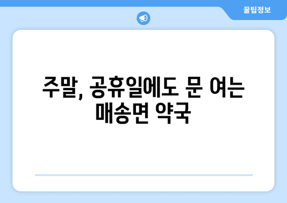 경기도 화성시 매송면 24시간 토요일 일요일 휴일 공휴일 야간 약국