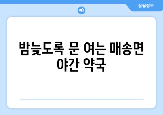 경기도 화성시 매송면 24시간 토요일 일요일 휴일 공휴일 야간 약국