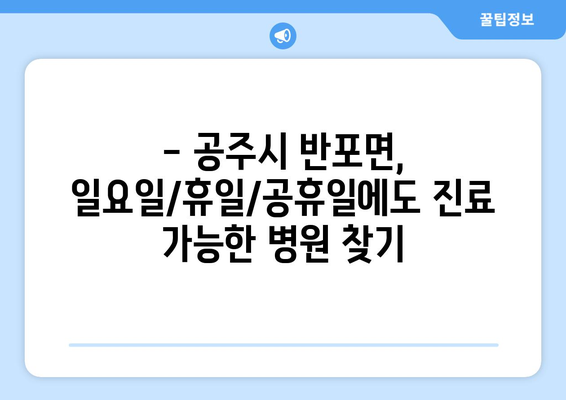 충청남도 공주시 반포면 일요일 휴일 공휴일 야간 진료병원 리스트