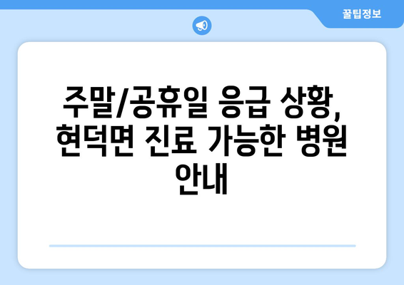 경기도 평택시 현덕면 일요일 휴일 공휴일 야간 진료병원 리스트