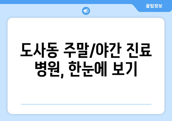 전라남도 순천시 도사동 일요일 휴일 공휴일 야간 진료병원 리스트