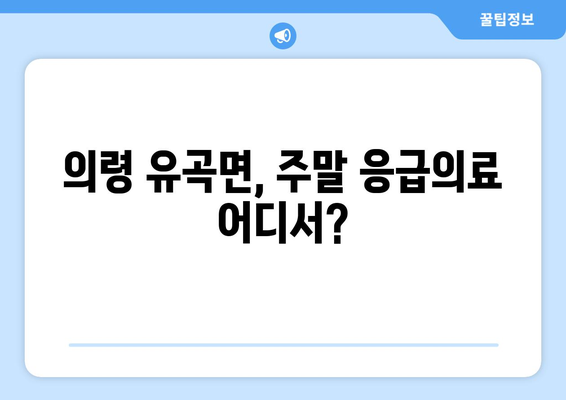 경상남도 의령군 유곡면 일요일 휴일 공휴일 야간 진료병원 리스트