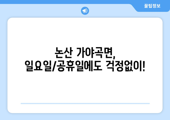 충청남도 논산시 가야곡면 일요일 휴일 공휴일 야간 진료병원 리스트