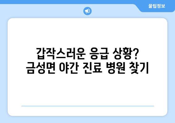 충청남도 금산군 금성면 일요일 휴일 공휴일 야간 진료병원 리스트