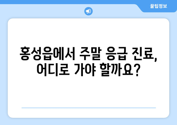 충청남도 홍성군 홍성읍 일요일 휴일 공휴일 야간 진료병원 리스트