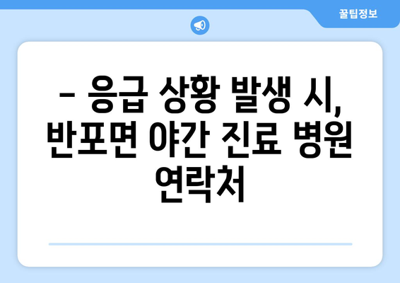 충청남도 공주시 반포면 일요일 휴일 공휴일 야간 진료병원 리스트