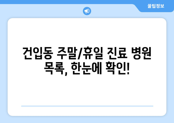 제주도 제주시 건입동 일요일 휴일 공휴일 야간 진료병원 리스트