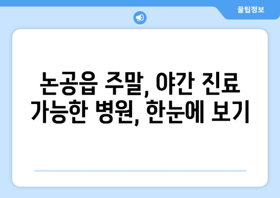 대구시 달성군 논공읍 일요일 휴일 공휴일 야간 진료병원 리스트