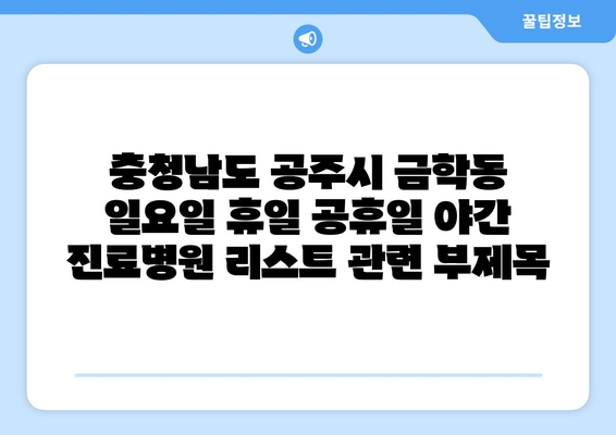 충청남도 공주시 금학동 일요일 휴일 공휴일 야간 진료병원 리스트