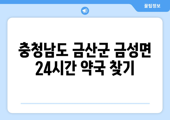 충청남도 금산군 금성면 24시간 토요일 일요일 휴일 공휴일 야간 약국