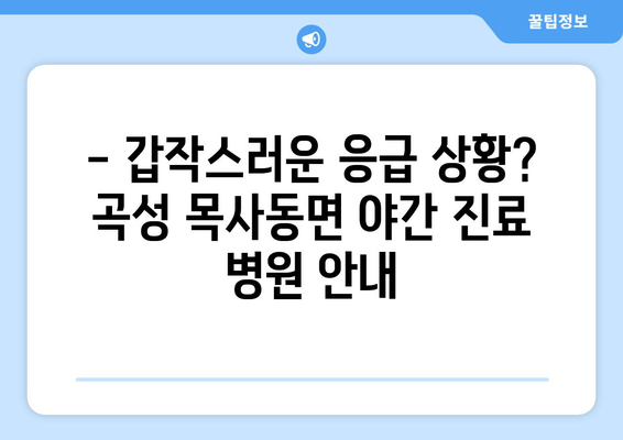 전라남도 곡성군 목사동면 일요일 휴일 공휴일 야간 진료병원 리스트