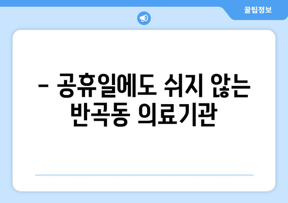 세종시 세종특별자치시 반곡동 일요일 휴일 공휴일 야간 진료병원 리스트