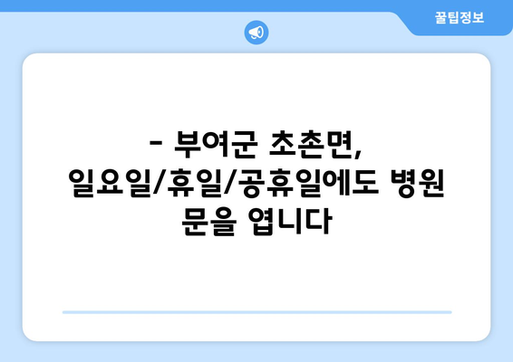 충청남도 부여군 초촌면 일요일 휴일 공휴일 야간 진료병원 리스트