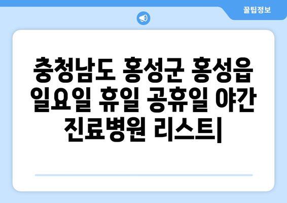 충청남도 홍성군 홍성읍 일요일 휴일 공휴일 야간 진료병원 리스트