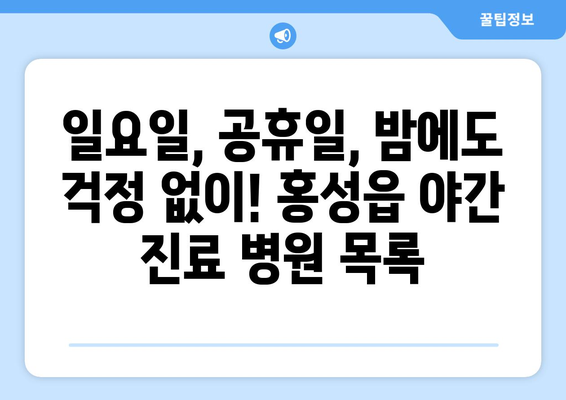 충청남도 홍성군 홍성읍 일요일 휴일 공휴일 야간 진료병원 리스트