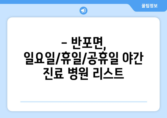 충청남도 공주시 반포면 일요일 휴일 공휴일 야간 진료병원 리스트