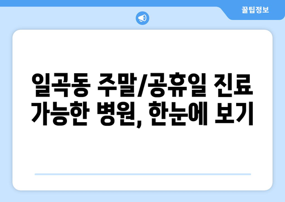 광주시 북구 일곡동 일요일 휴일 공휴일 야간 진료병원 리스트