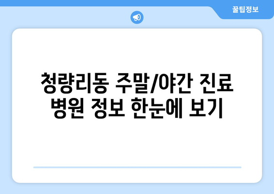 서울시 동대문구 청량리동 일요일 휴일 공휴일 야간 진료병원 리스트