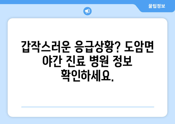 전라남도 화순군 도암면 일요일 휴일 공휴일 야간 진료병원 리스트