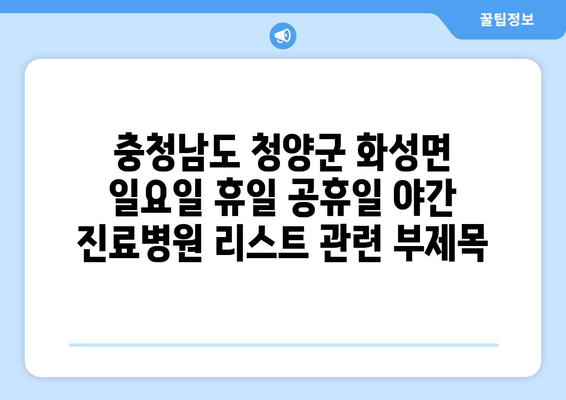 충청남도 청양군 화성면 일요일 휴일 공휴일 야간 진료병원 리스트