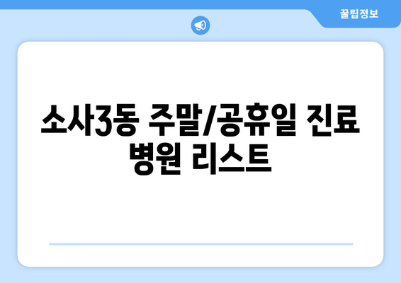 경기도 부천시 소사3동 일요일 휴일 공휴일 야간 진료병원 리스트