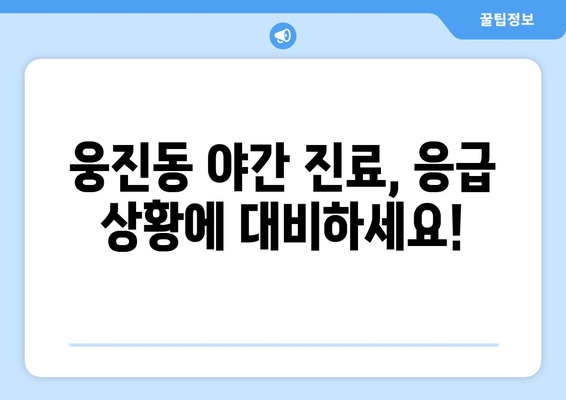 충청남도 공주시 웅진동 일요일 휴일 공휴일 야간 진료병원 리스트