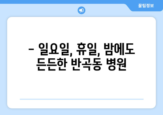 세종시 세종특별자치시 반곡동 일요일 휴일 공휴일 야간 진료병원 리스트