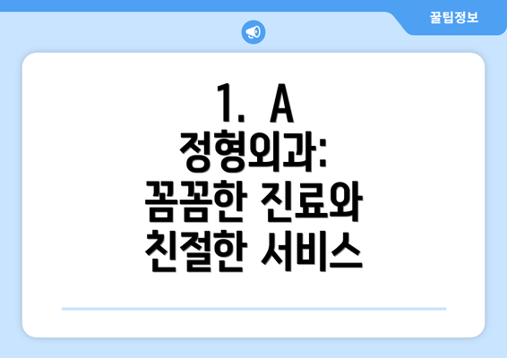 1.  A 정형외과:  꼼꼼한 진료와 친절한 서비스