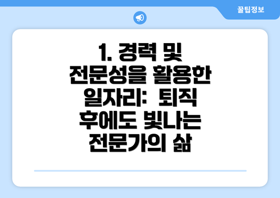 1. 경력 및 전문성을 활용한 일자리:  퇴직 후에도 빛나는 전문가의 삶