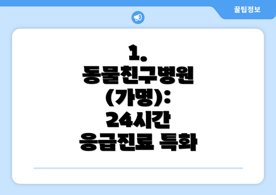 1.  동물친구병원 (가명):  24시간 응급진료 특화