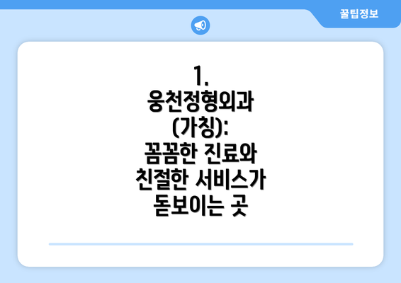 1.  웅천정형외과 (가칭): 꼼꼼한 진료와 친절한 서비스가 돋보이는 곳