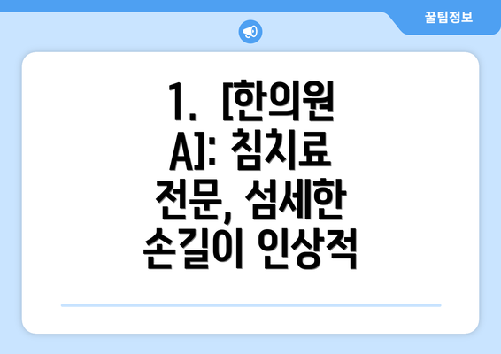 1.  [한의원 A]: 침치료 전문, 섬세한 손길이 인상적