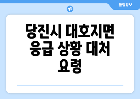 당진시 대호지면 응급 상황 대처 요령