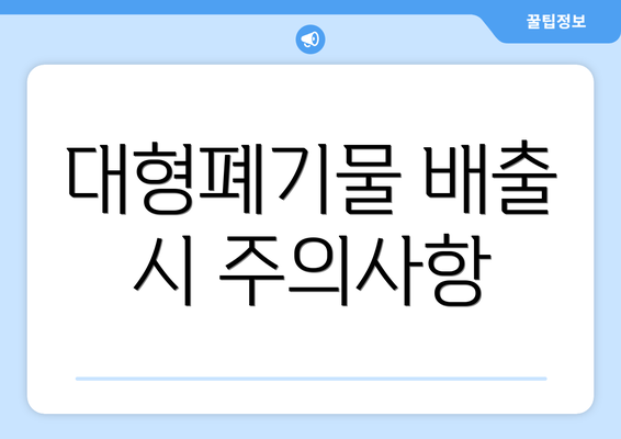 대형폐기물 배출 시 주의사항