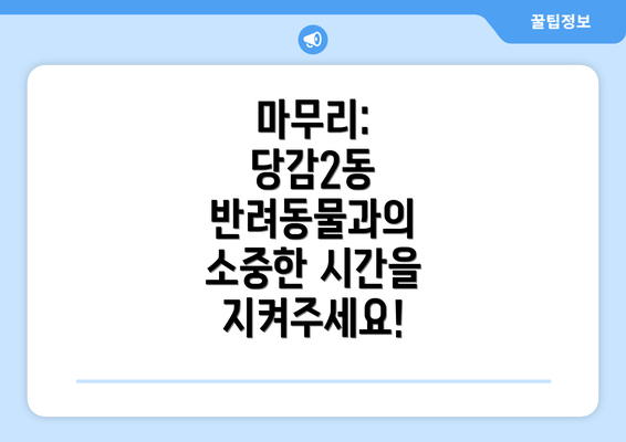 마무리: 당감2동 반려동물과의 소중한 시간을 지켜주세요!