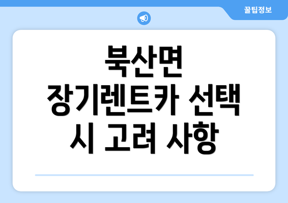 북산면 장기렌트카 선택 시 고려 사항