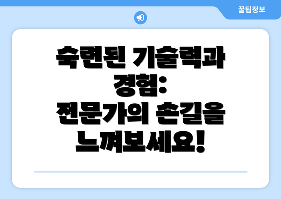 숙련된 기술력과 경험:  전문가의 손길을 느껴보세요!