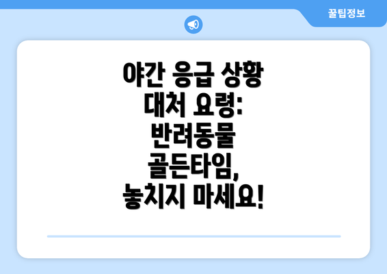 야간 응급 상황 대처 요령: 반려동물 골든타임, 놓치지 마세요!