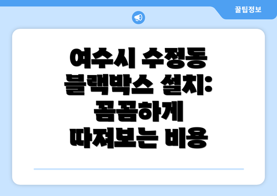 여수시 수정동 블랙박스 설치: 꼼꼼하게 따져보는 비용