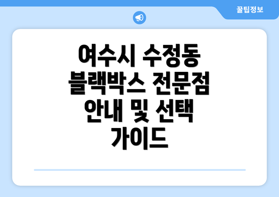 여수시 수정동 블랙박스 전문점 안내 및 선택 가이드