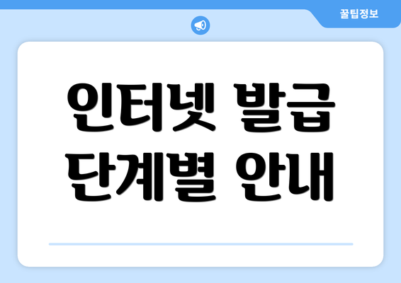 인터넷 발급 단계별 안내