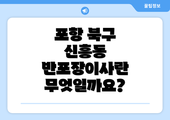 포항 북구 신흥동 반포장이사란 무엇일까요?