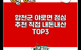 합천군 야로면 점심 추천 직접 내돈내산 TOP3